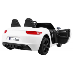 Perfecta (Porsche) XXL mat/lakierowany