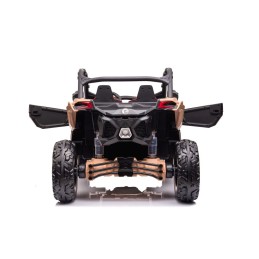 Maverick Can-am RS